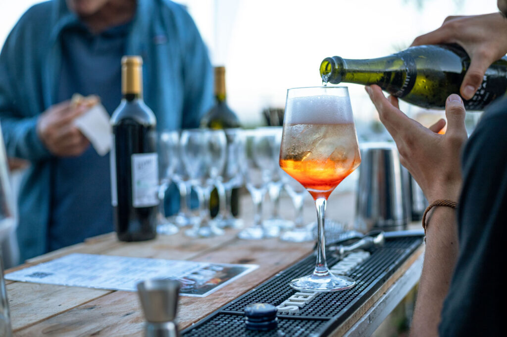 hollyfood bayer-49 - copia